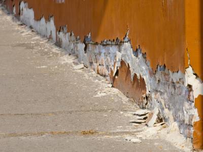 Salpêtre ayant attaqué un mur