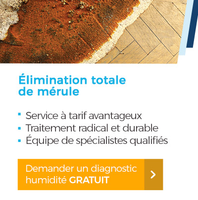 Demander un diagnostic humidité gratuit